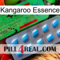 Kangaroo Essence new03